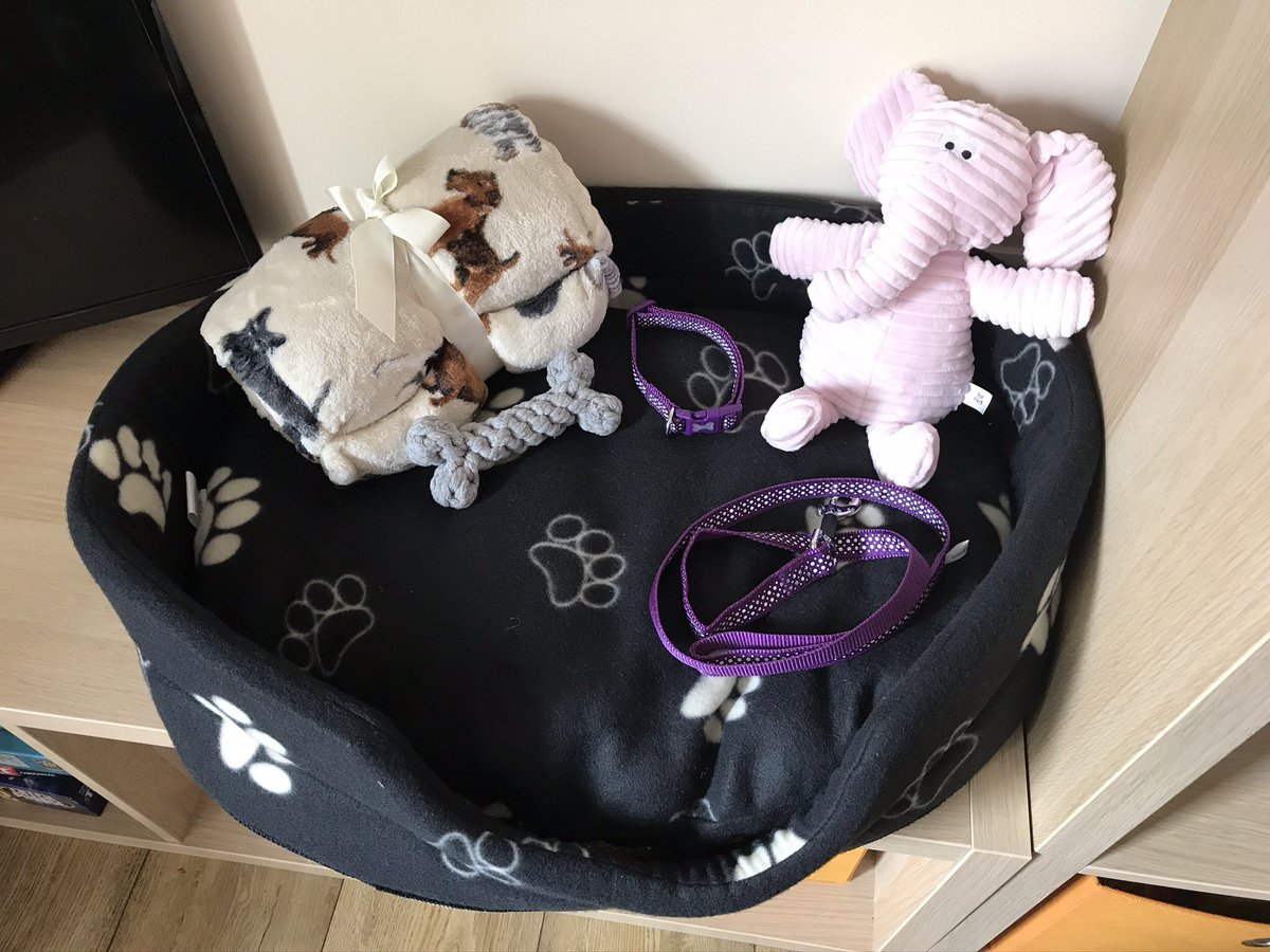 raquelrat's tweet photo. We’re expecting a new arrival - it’s furry, it’s got 4 legs and it’s arriving on Friday…….. https://t.co/IvzjheZMh7