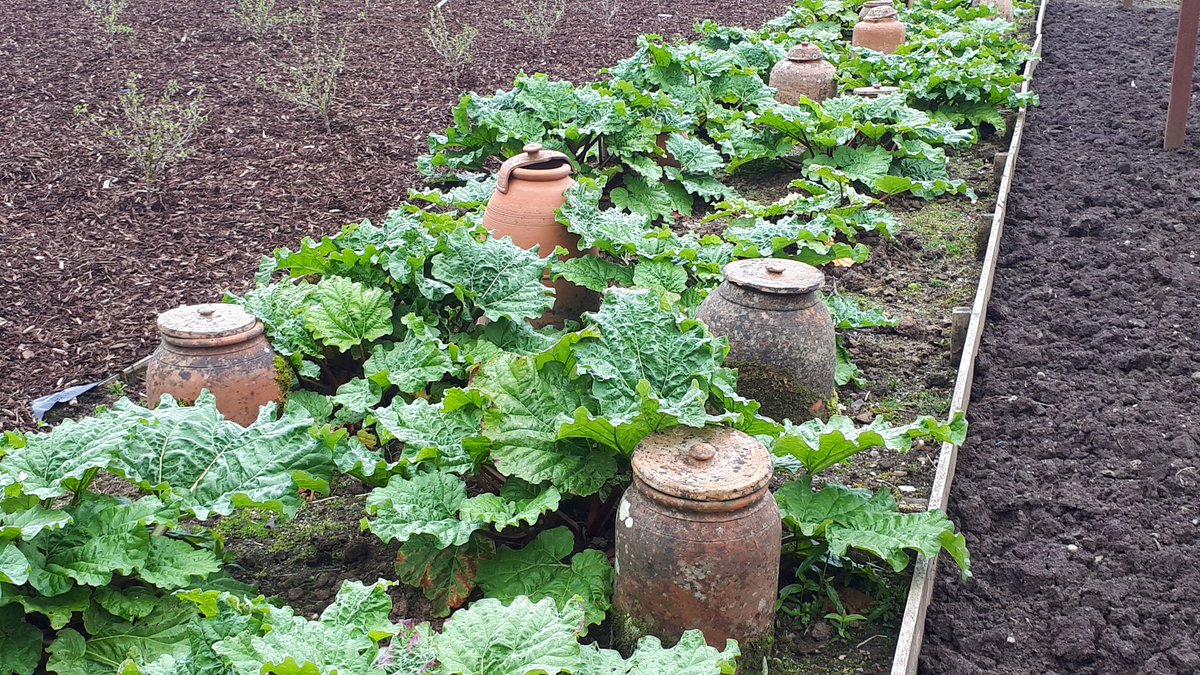 RenateDavieTour's tweet photo. Another visit to @HeliganGardens today. Got my #localspass so I can visit every day of the year now for free 😍. 
@DolveanHouseBB @Seymac_D @CornwallGuide @beauty_cornwall @CornwallGardens @CwllGardenSoc https://t.co/ZnbWOaJ1ay