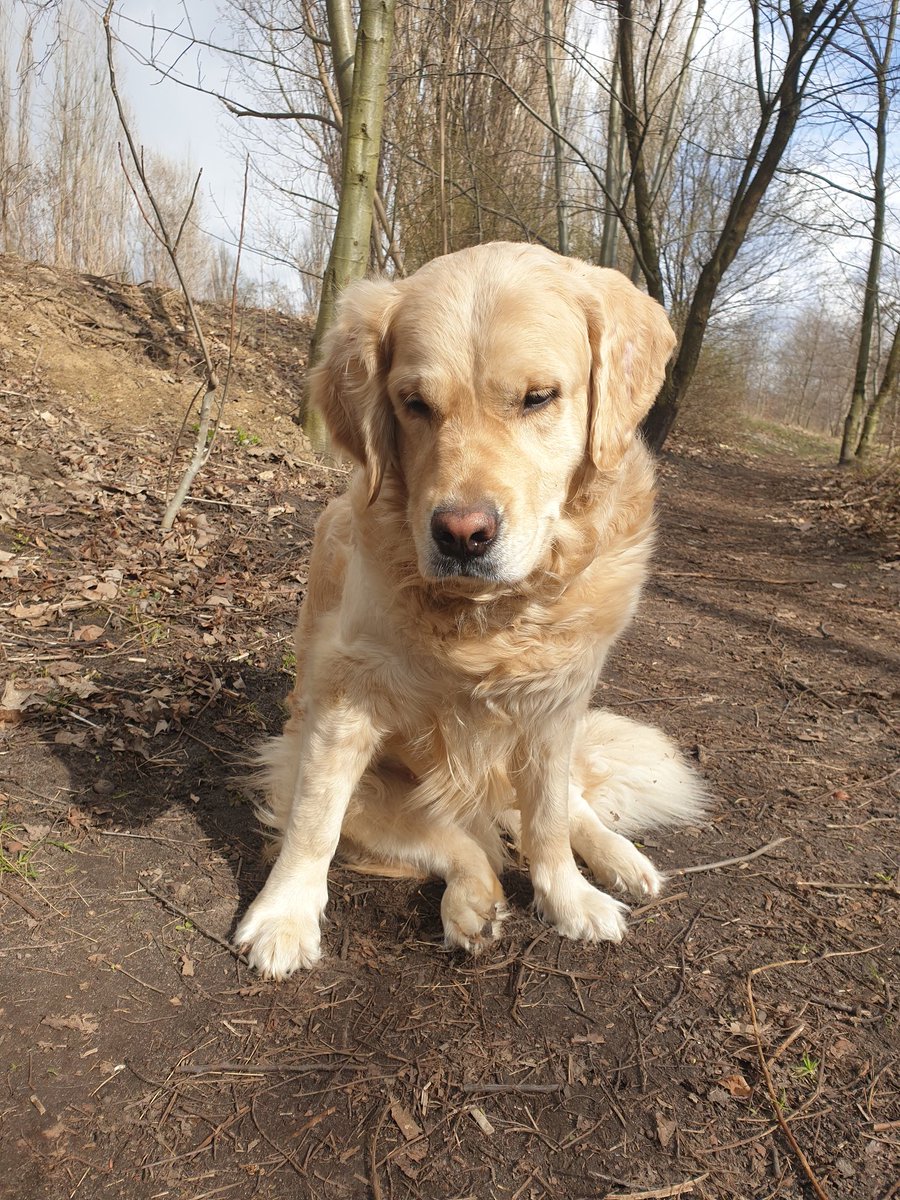 Zannara6's tweet image. #rapcontent