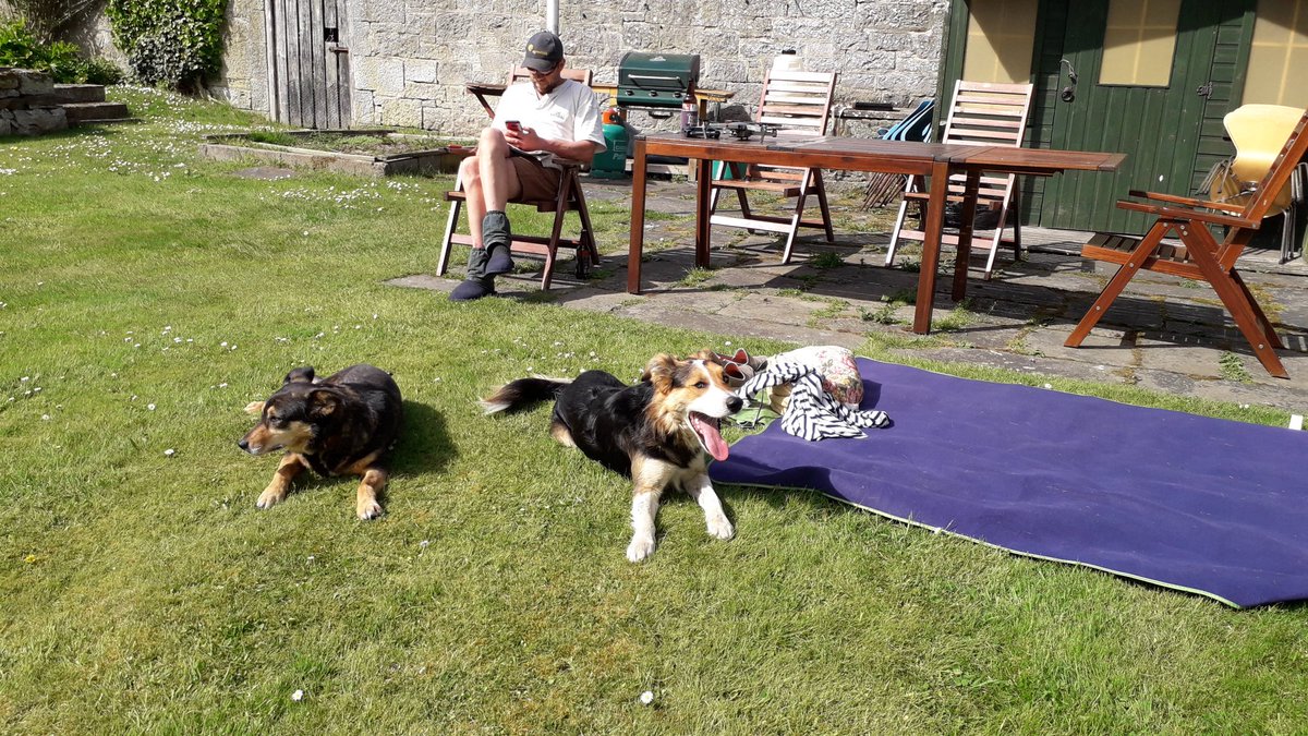 FarmersOfTheUK's tweet photo. We don't have kids so the dogs are very much part of our family. 
When you've had a shite there is nothing better than the unquestioning love of a dog.
For more great farm dog stories I recommend @DogsofNuffield https://t.co/5ffGiMOw01