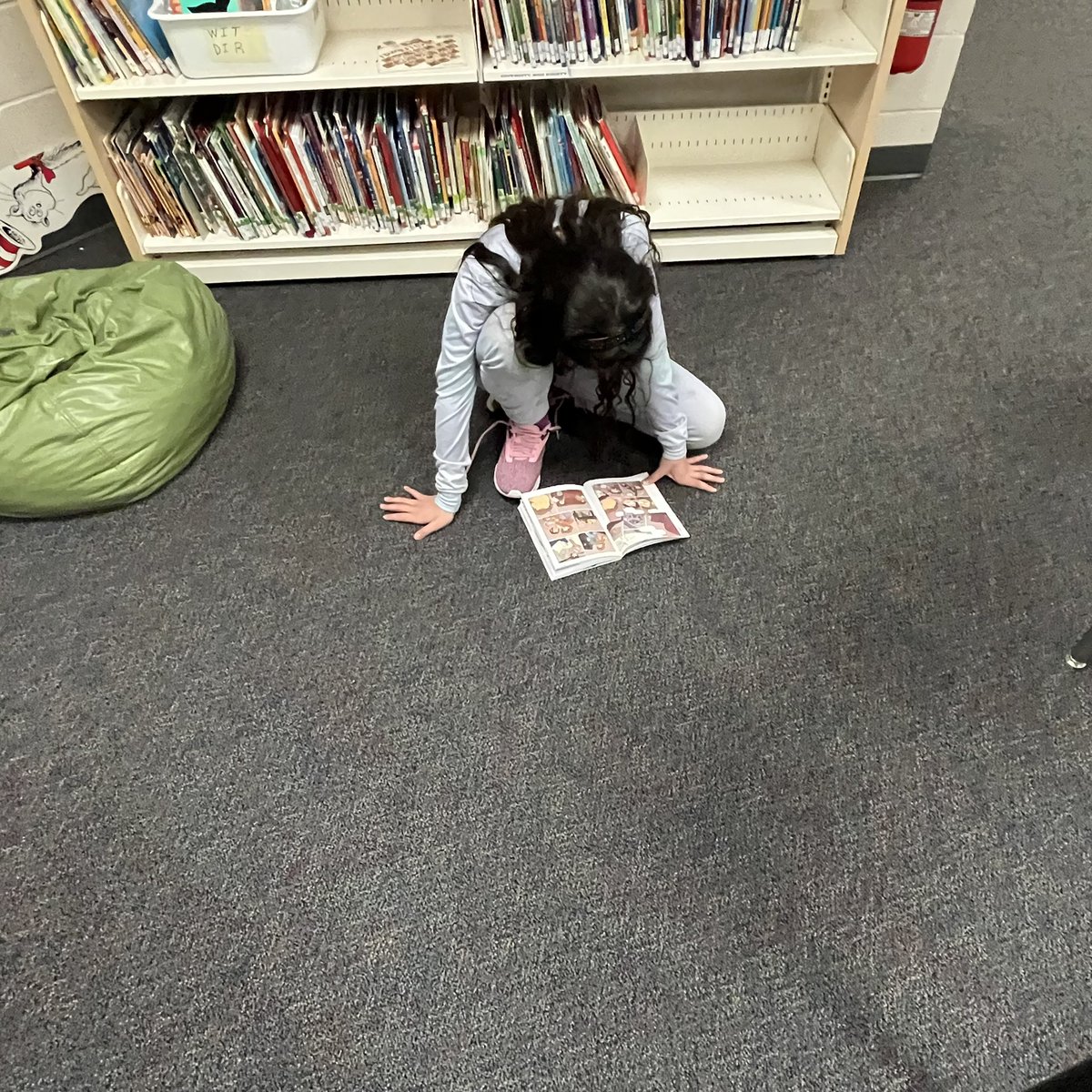 I think library <a href="/cfrostLC/">Cindy Frost (she/her)</a> is one of their favourite activities. They love getting lost in a book 📖
