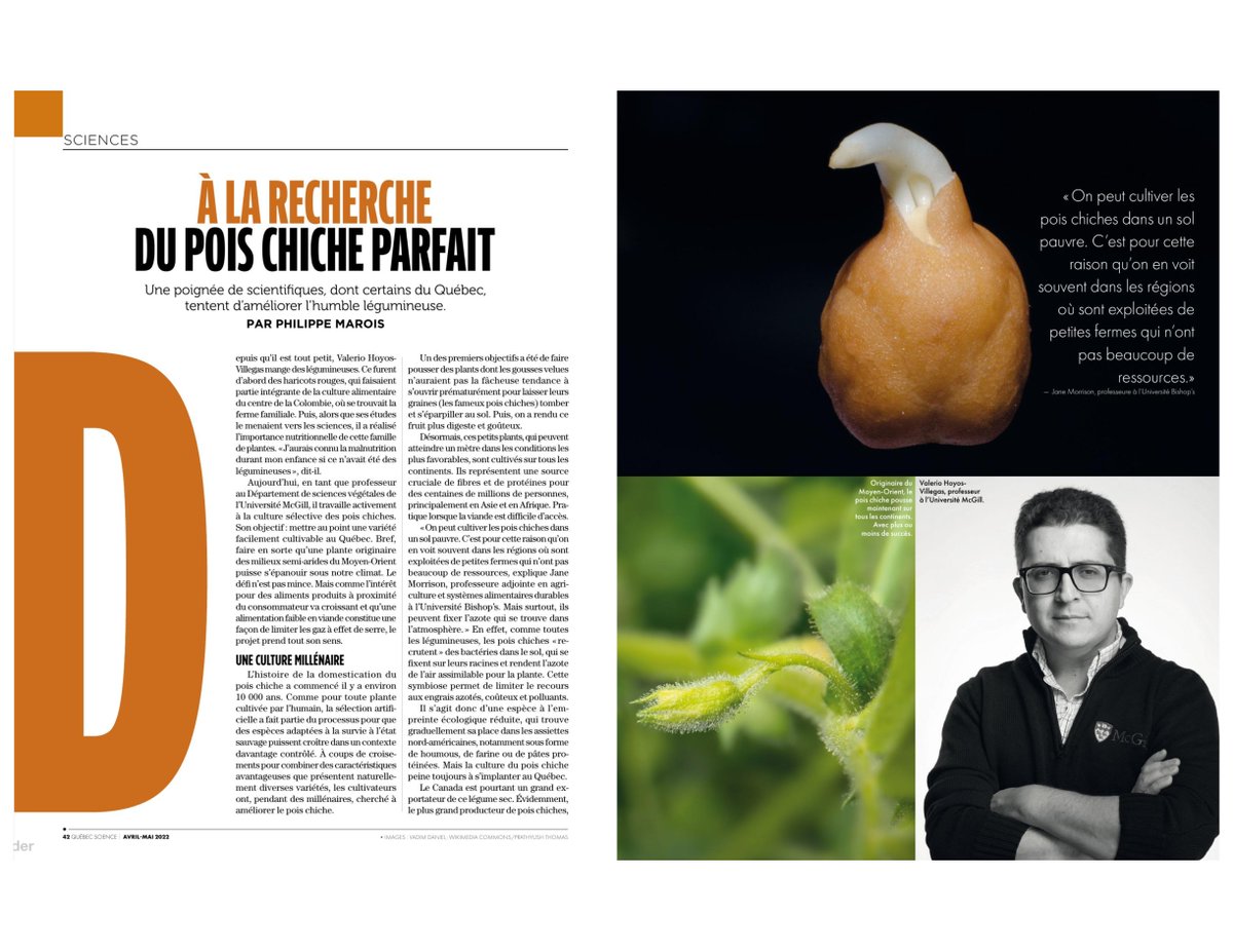 Valerio Hoyos-Villegas tweet media