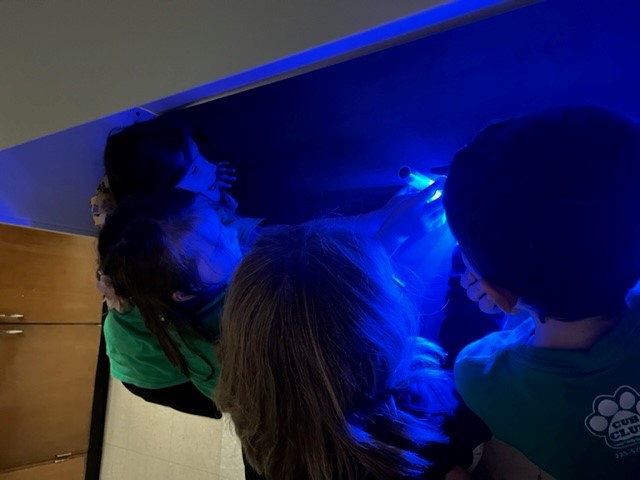 LSU Department of Biological Sciences tweet media