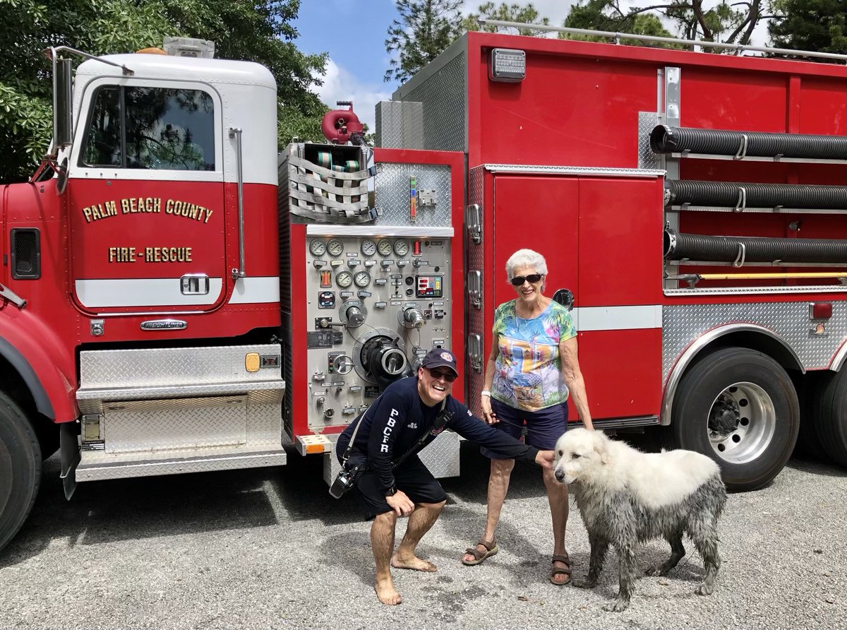 PBCFR's tweet photo. #PBCFR #Tender 14 #DriverOperator Anton Bousquet was in the right place at the right time to save a #dog today! While on a walk the #pup got stuck in the muck of a canal. #Thanks to DO Bousquets the dog was safely returned to his owners! #DogRescue #AnimalRescue https://t.co/LHykVsyRoy