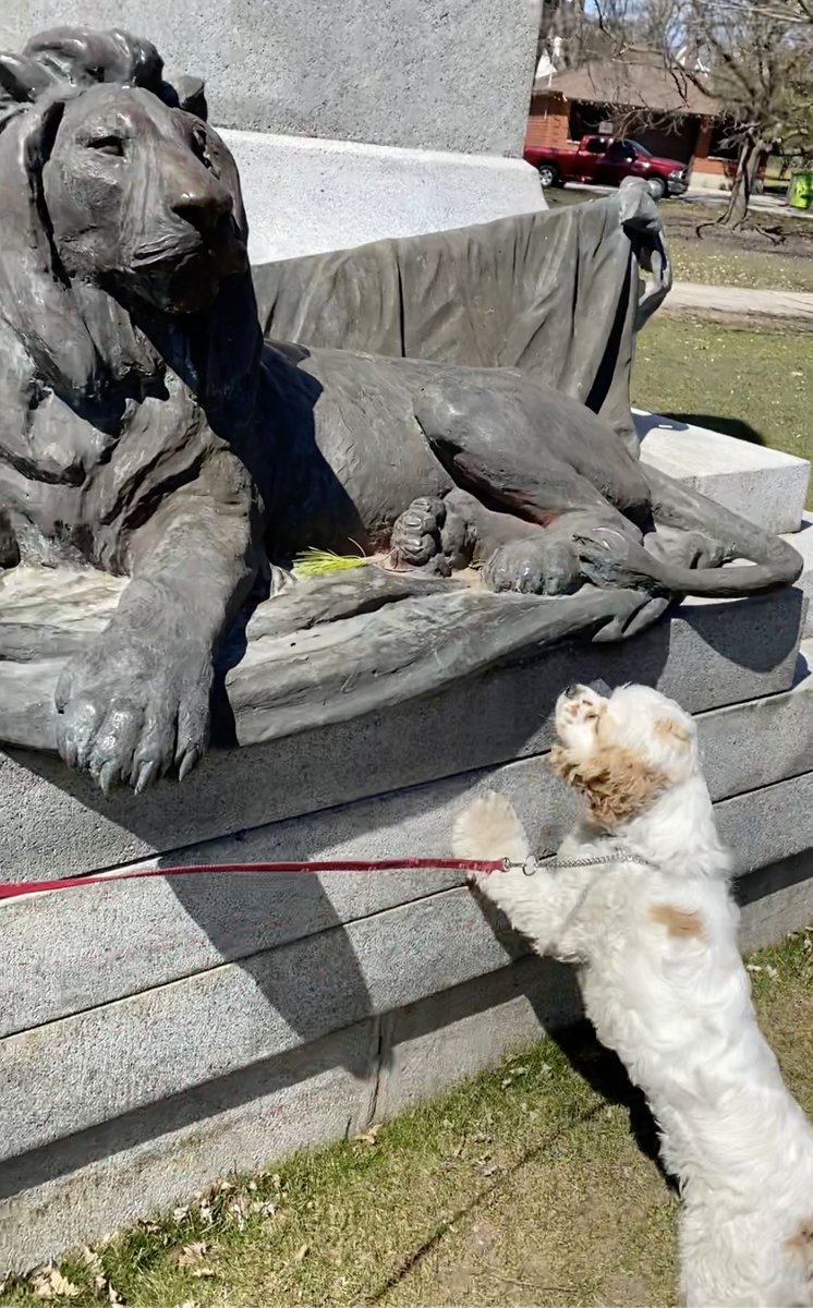 Having a complicated day?  Here at the River Insitute, we recommend barking it out with a friendly lion statue.