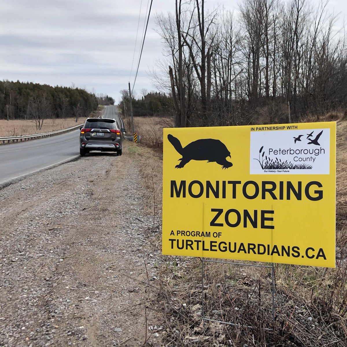 @kimzippel.bsky.social tweet media