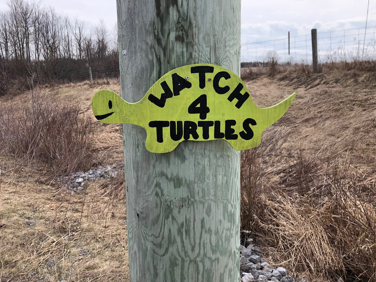 @kimzippel.bsky.social tweet media