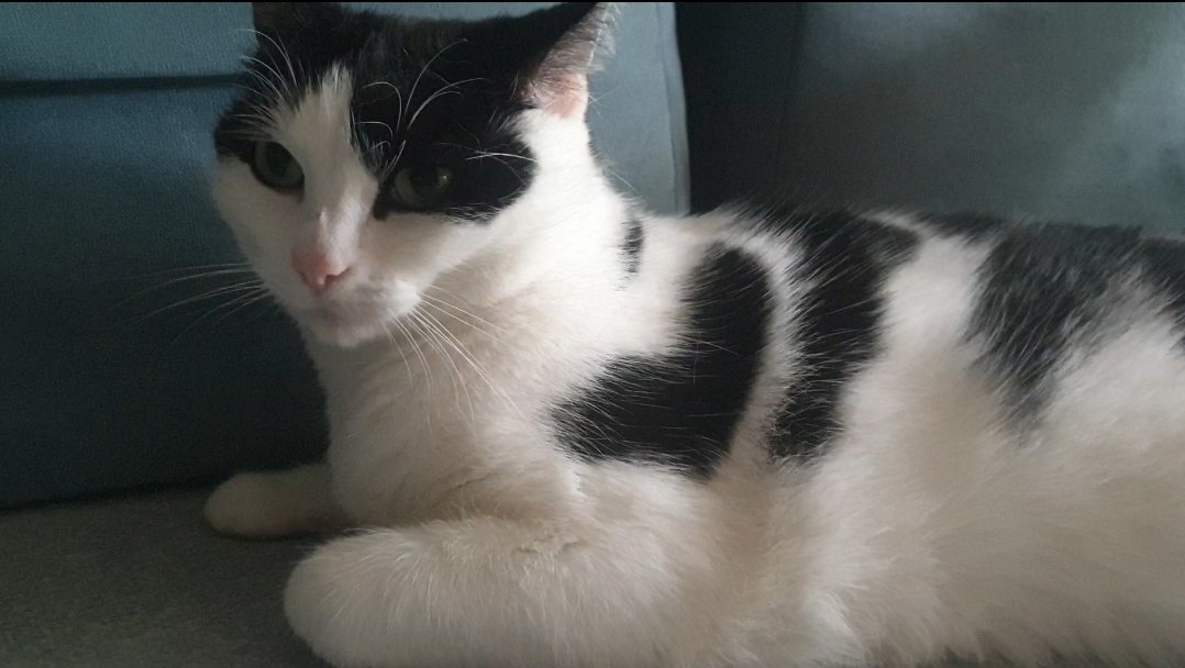 Zannara6's tweet image. #rapcontent