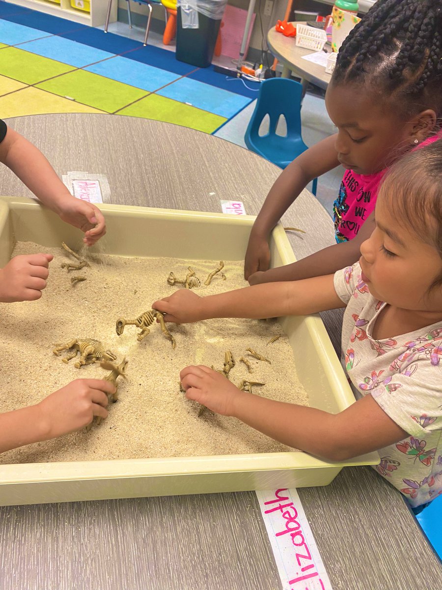 DRDickerson2's tweet photo. 🌴🦖🦕Today, we practiced being paleontologists!! We discussed the different dinosaurs and described their characteristics with a buddy.🦕🦖🌴 @EarlyGcisd #TESLEADS https://t.co/nyFyzZrWdq