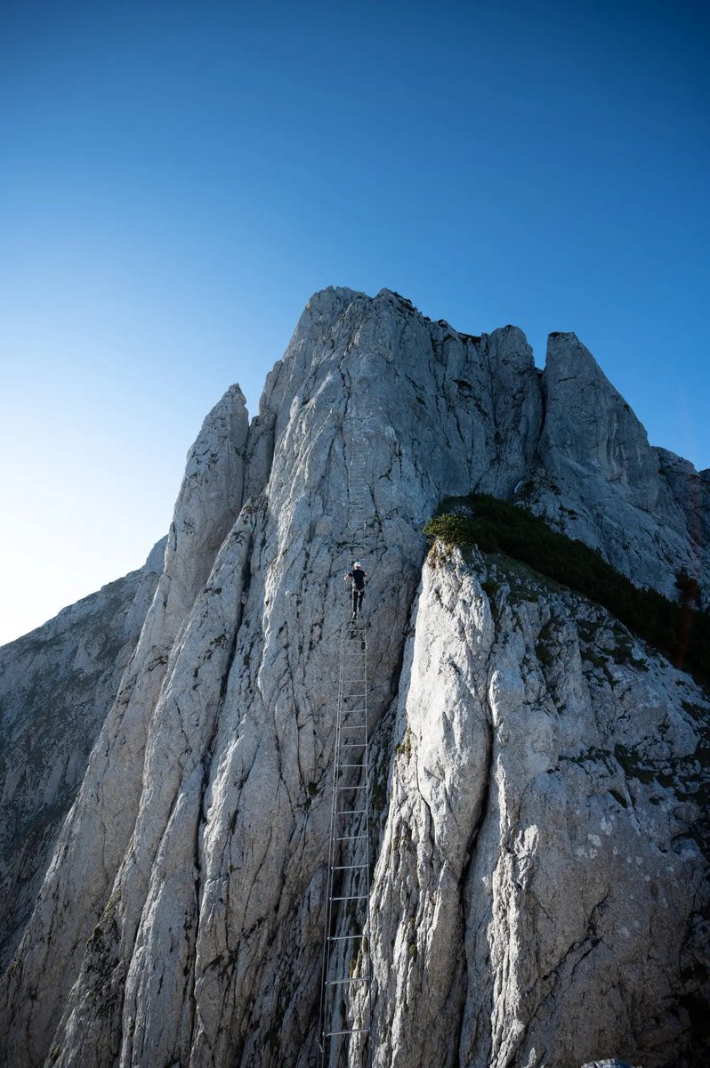 TheNorskaPaul's tweet photo. A crazy guy on a “stairway to heaven” 2,300 feet up on a 140 ft ladder😳
#MarcOffenbacher did it between two mountains other day, in the #DonnerKogel mountain range in #Gosaukamm #Austria & a very experienced climber.
📸 #SebLehrke dude 👍 https://t.co/D9bX4ArARs