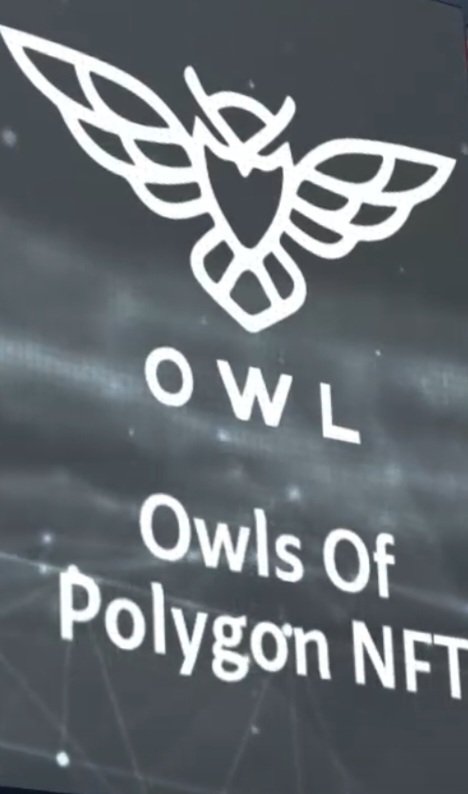 owlsofpolygon's tweet image. 2 days left someone who gets the correct code is going to #NFTNYC2022 #OWLSOFPOLYGON