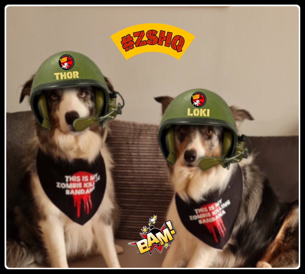 BCBruvz's tweet photo. #ZombieSquad #ZSHQ
What pawsome news. We are offishally da Avengers of da ZombieSquad.
#ProudHoomumMoment https://t.co/LcQxXkhQfZ