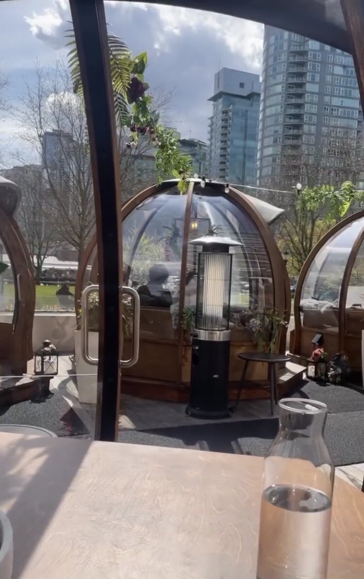 RileyWintersxo's tweet photo. I want hot eTransfer drains while I enjoy lunch in this cute dome🌸 

Meal was $450+tip while you’re at it. https://t.co/JTFO0de4XQ