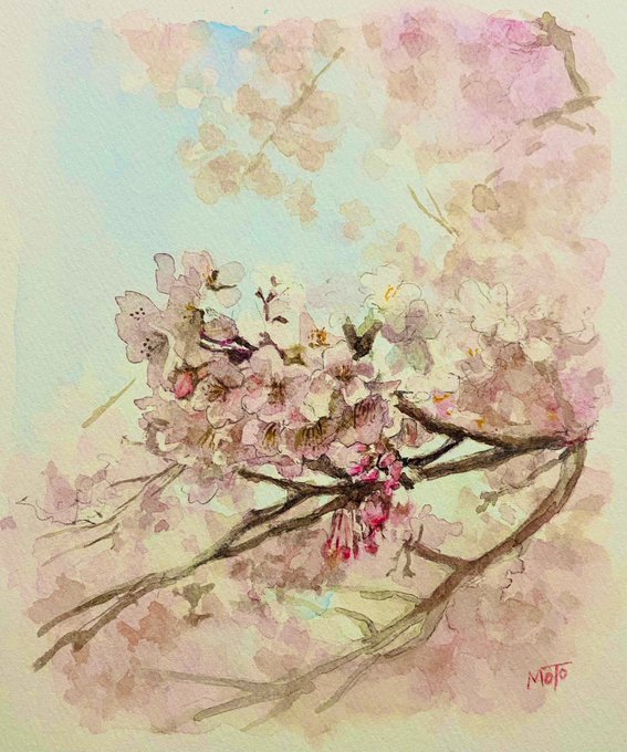 桜を描きました🌸
透明水彩、鉛筆、ワトソン紙
#絵描きさんと繋がりたい 
#水彩画 #桜 #春 