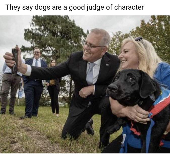 doogsiestyle's tweet image. 