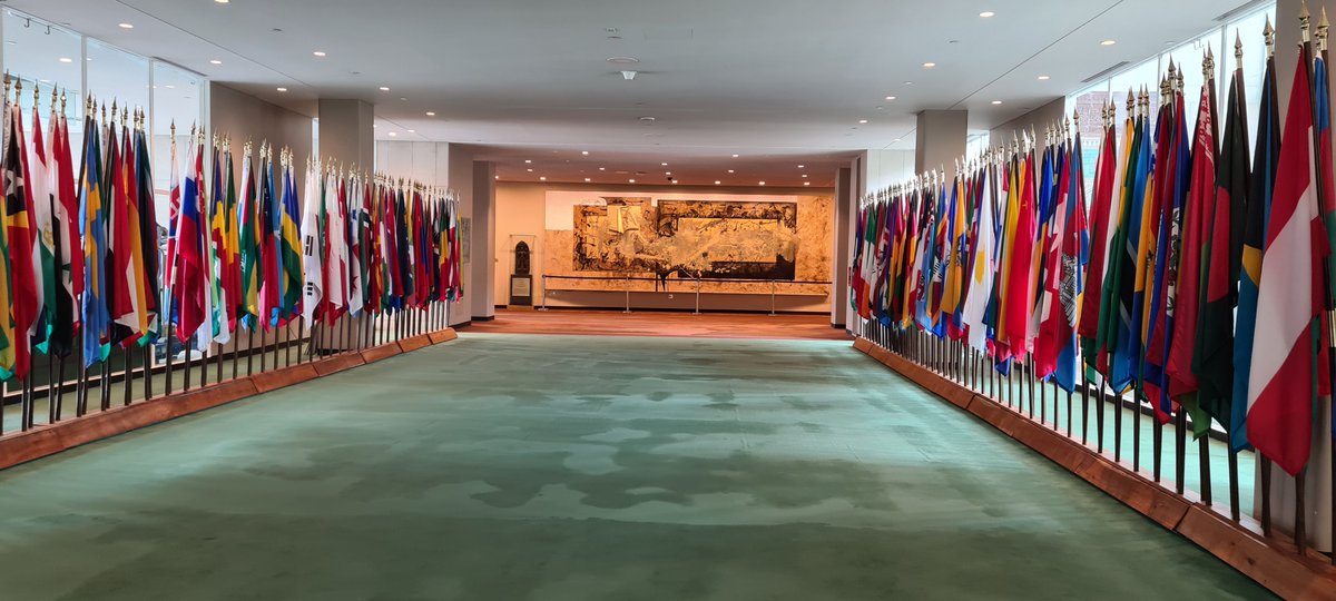 HeleneTigroudja's tweet photo. Back to NYC to meet in person with States Parties delegates and campaign for my re-election for a second term at the #HRCttee. https://t.co/O1yQfWlhaB