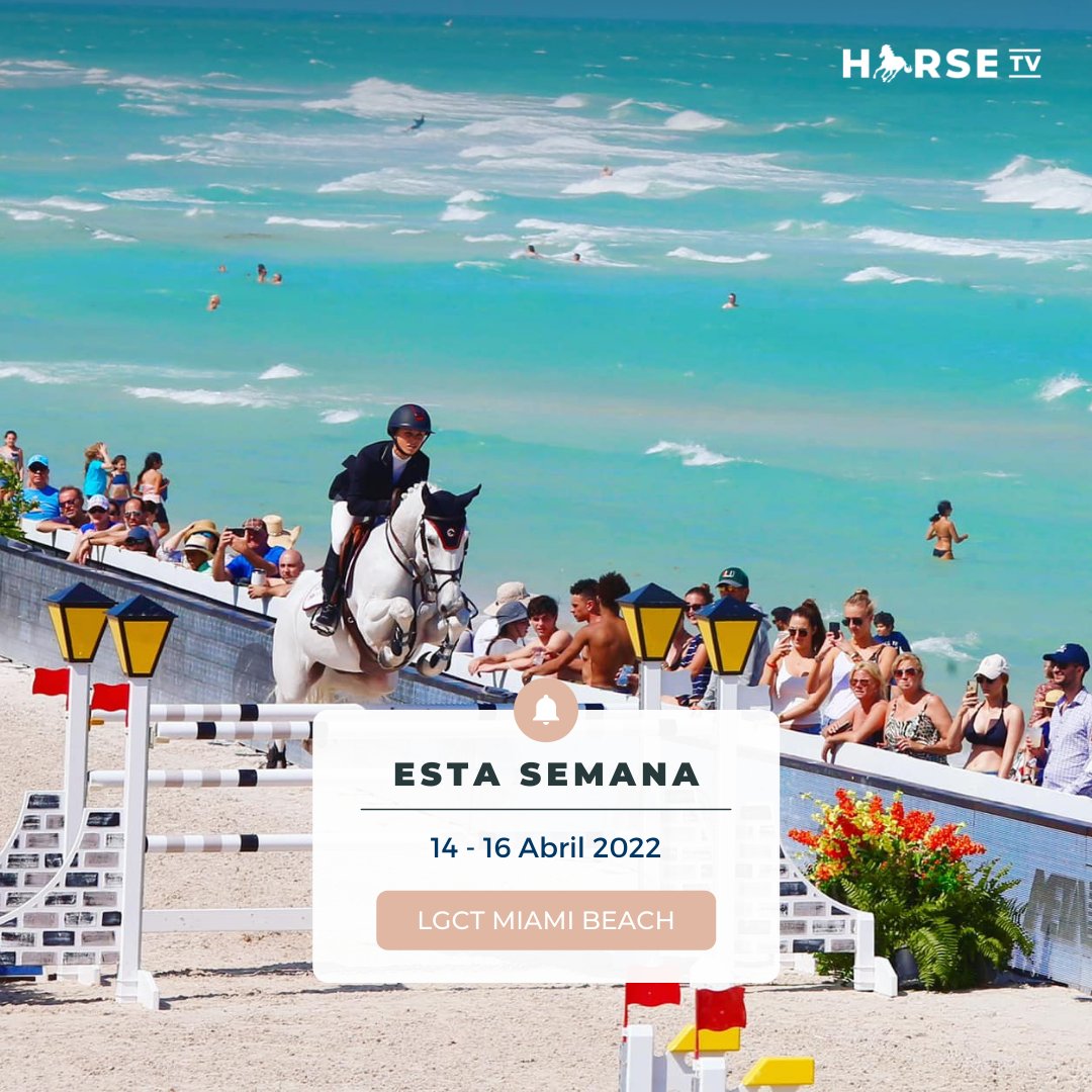 HorseTVESP's tweet photo. Nos espera una semana cargada de eventos, echa un vistazo a las competiciones que empiezan ya que nos mantendrán enganchados hasta la semana que viene 💯

🇺🇸 @GCT_events en #Miami y #México 🇲🇽
🇫🇷 @Hubside en #StTropez

#LGCT #LGCT2022 #longinesglobalchampionstour #HubsideJumping https://t.co/8VkfYDO9OB