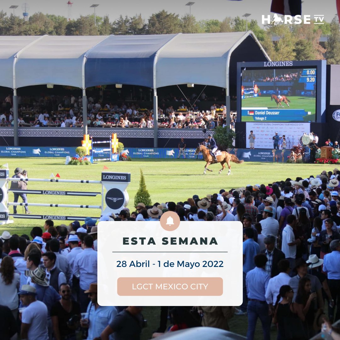 HorseTVESP's tweet photo. Nos espera una semana cargada de eventos, echa un vistazo a las competiciones que empiezan ya que nos mantendrán enganchados hasta la semana que viene 💯

🇺🇸 @GCT_events en #Miami y #México 🇲🇽
🇫🇷 @Hubside en #StTropez

#LGCT #LGCT2022 #longinesglobalchampionstour #HubsideJumping https://t.co/8VkfYDO9OB