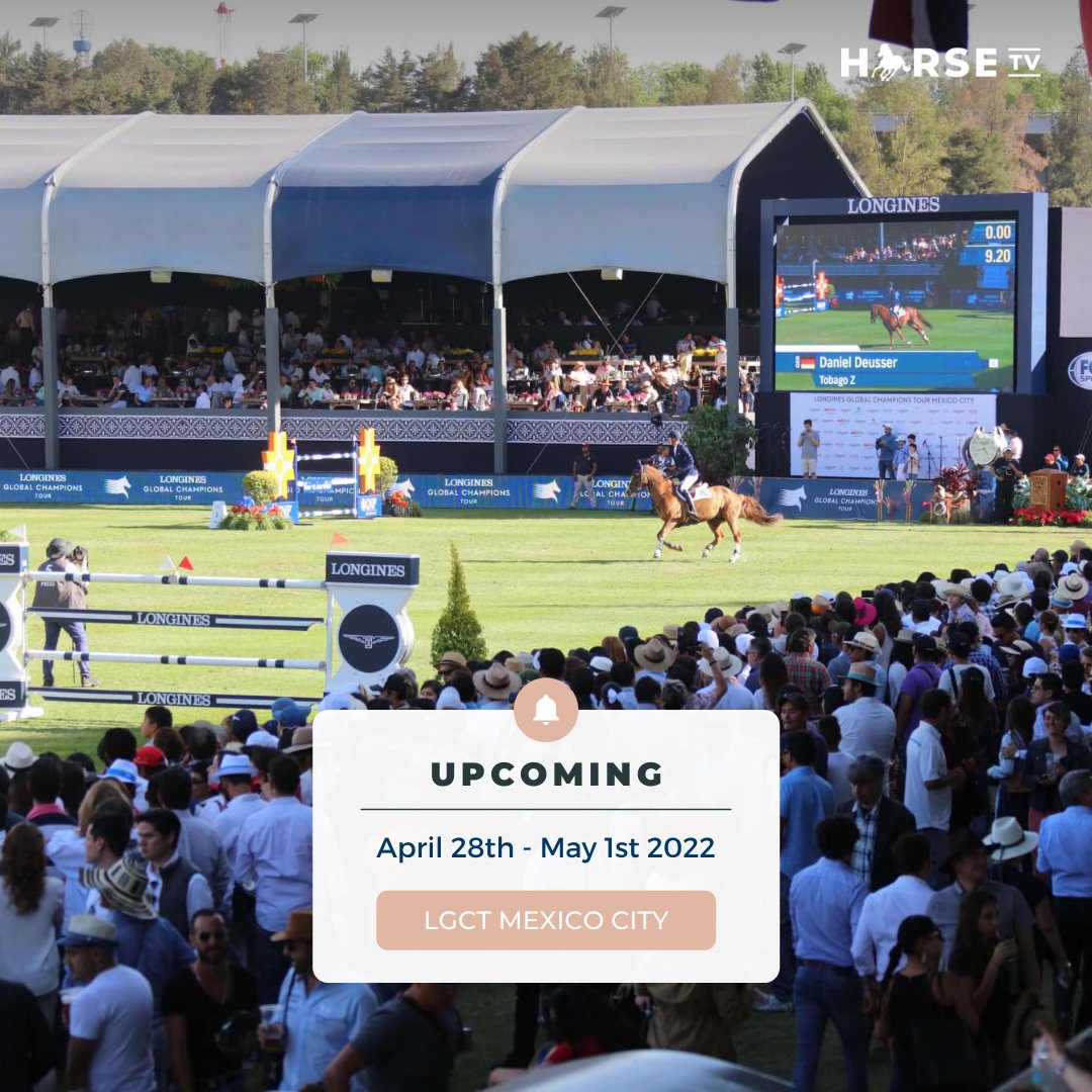 ClassHorseTV's tweet photo. A week full of equestrian events awaits us, take a look at the competitions that starts now and that will keep us hooked until next week 💯

🇺🇸 @GCT_events in #Miami &amp; #Mexico 🇲🇽 
🇫🇷 @Hubside in #StTropez

#LGCT #LGCT2022 #MiamiBeach #longinesglobalchampionstour #HubsideJumping https://t.co/3nlr0aoTRW