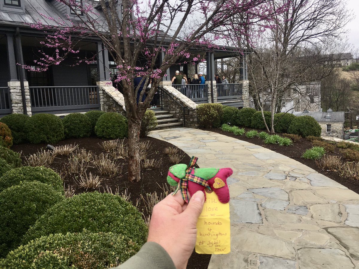 SamSam and LouLou (@sampluslou) on Twitter photo Miss Sybil is continuing her journey along the Bourbon Trail in Kentucky, with a visit to Woodford Reserve in Versailles.
#Hounds4Huntingtons
#SybilOnTour
#btposse
<a href="/jaq421/">jackie harrison</a>
<a href="/WoodfordReserve/">Woodford Reserve</a> Miss Sybil is continuing her journey along the Bourbon Trail in Kentucky, with a visit to Woodford Reserve in Versailles.
#Hounds4Huntingtons
#SybilOnTour
#btposse
<a href="/jaq421/">jackie harrison</a>
<a href="/WoodfordReserve/">Woodford Reserve</a>