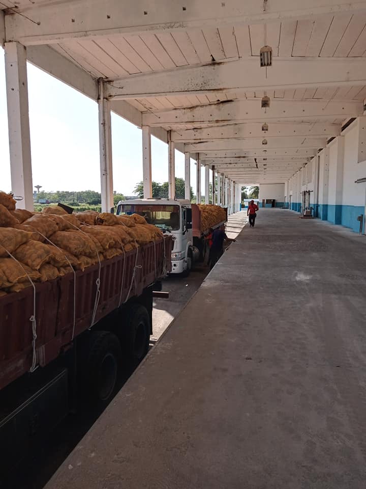 El Frigorífico 1001 de Camagüey, en proceso de recepción de la papa, asegurando la alimentación del pueblo. 
#ComercioCuba #Cuba 
<a href="/PresidenciaCuba/">Presidencia Cuba 🇨🇺</a> <a href="/MMarreroCruz/">Manuel Marrero Cruz</a> <a href="/JorgeLuisTapiaF/">Jorge Luis Tapia Fonseca</a> <a href="/ENFRIGO1/">ENFRIGO</a>