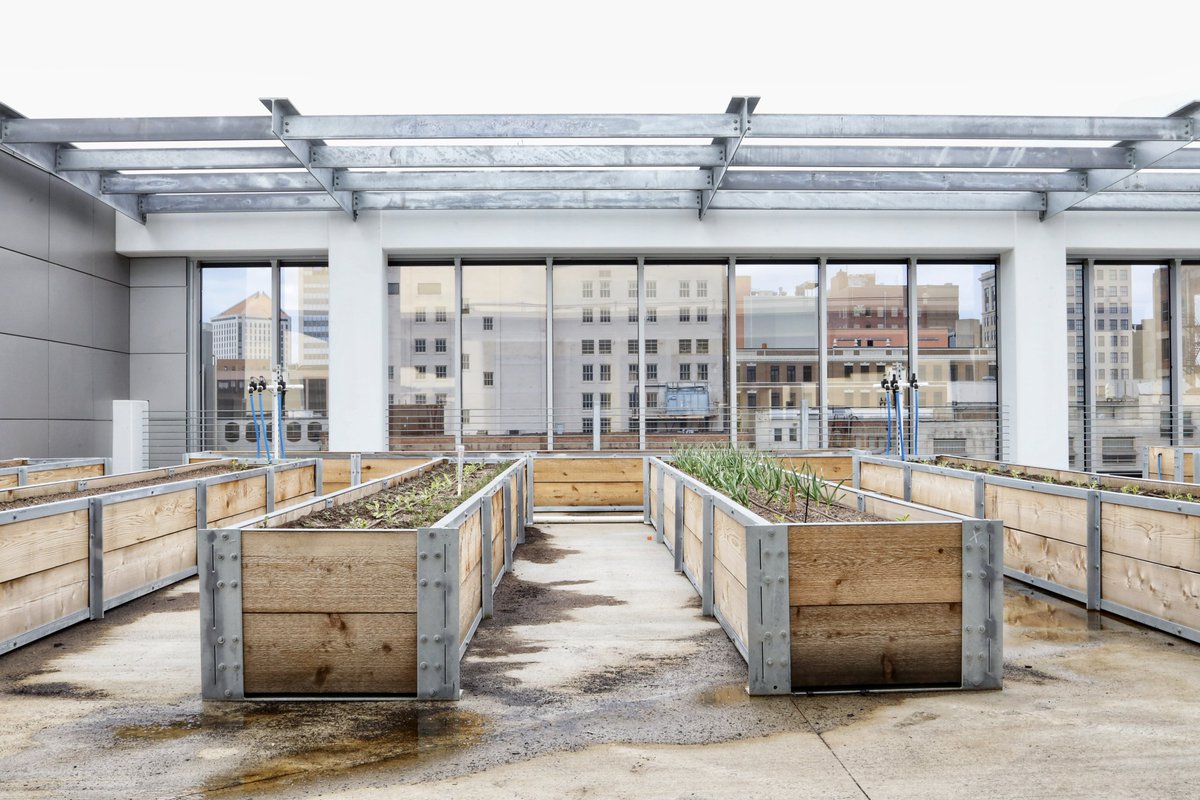 NolanRothICT's tweet photo. Downtown Wichita is growing, literally. Rise Farms is the first rooftop farm here in Wichita. Their hope is to sell to local restaurants to lower the amount of outsourced food coming to Wichita, working with the City and County on a bigger “Food System Master Plan”. https://t.co/9YZZaU32BE
