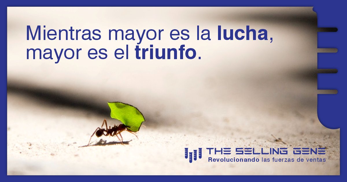 fercolosimo's tweet photo. Mientras mayor es la lucha, 
mayor es el triunfo.
#motivación 
✊
https://t.co/Bm3oRXTPRv https://t.co/gLrn0TKdX3