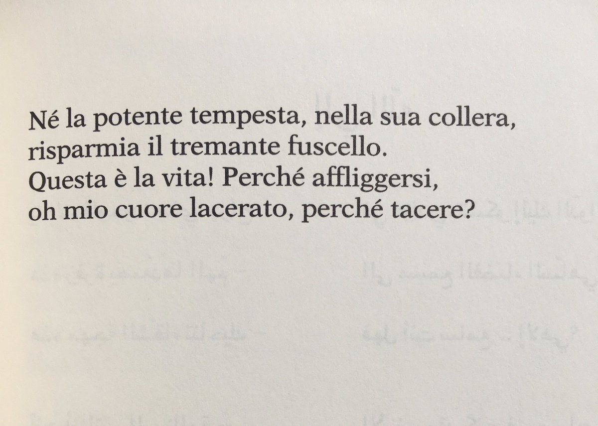 thatsnotme tweet media