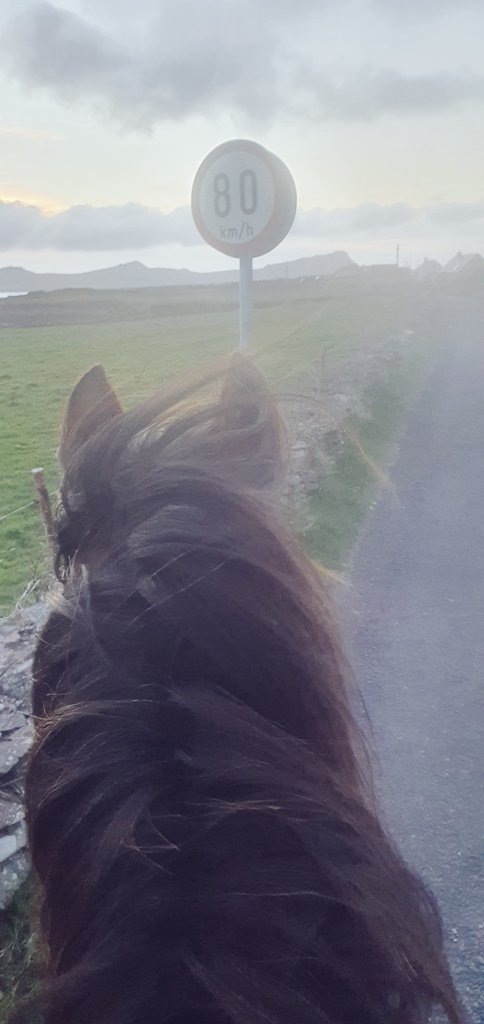 TrionaMoriarty's tweet photo. Ar nuas a dúirt @MuintirShe beidh siad ag éirí ón mbóthar ag imeacht siar go Bally! https://t.co/QYPZDRTzHd