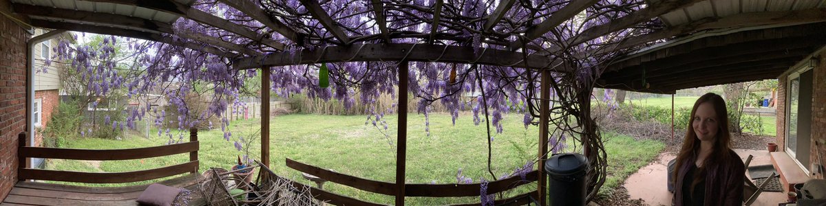 Killjoy797's tweet photo. Took this yesterday #carissalee #killjoy797 https://t.co/rAtWDDpCEc