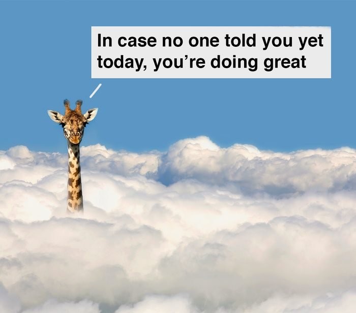 WholesomeMeme's tweet photo. https://t.co/k1XGCdEdk3