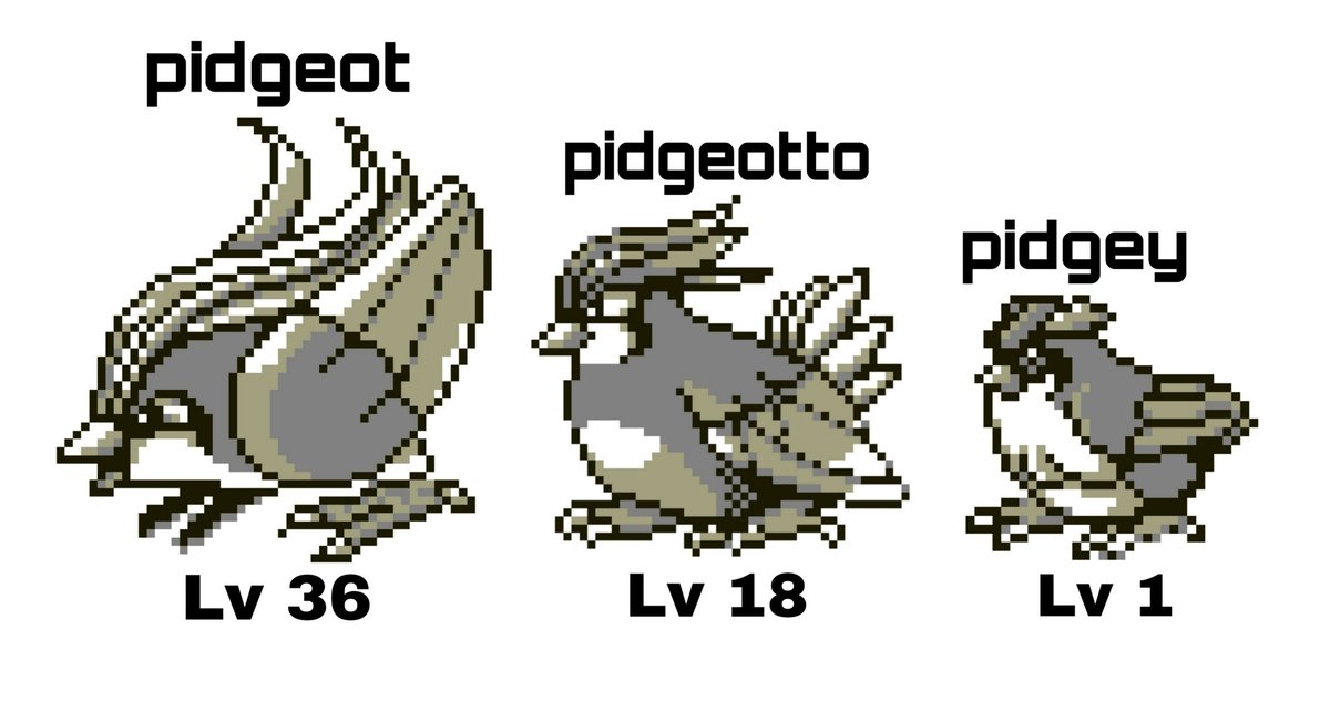 Pokémon Pidgeot 🐦 on Twitter: "#pokemon #pokemonred #pokemonblue #pidgey # pidgeot #pidgeotto #pokemonkanto Honestly, these have been my favorite since I was young, pokemon red will always be my favorite game. https://t.co/9YliVUgJLU" /