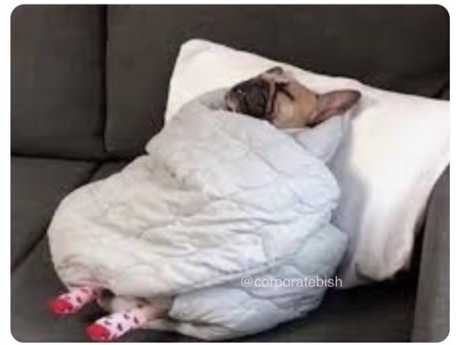 Me after a long day of downloading papers that I’ll never read 

<a href="/OpenAcademics/">OpenAcademics</a> #AcademicTwitter