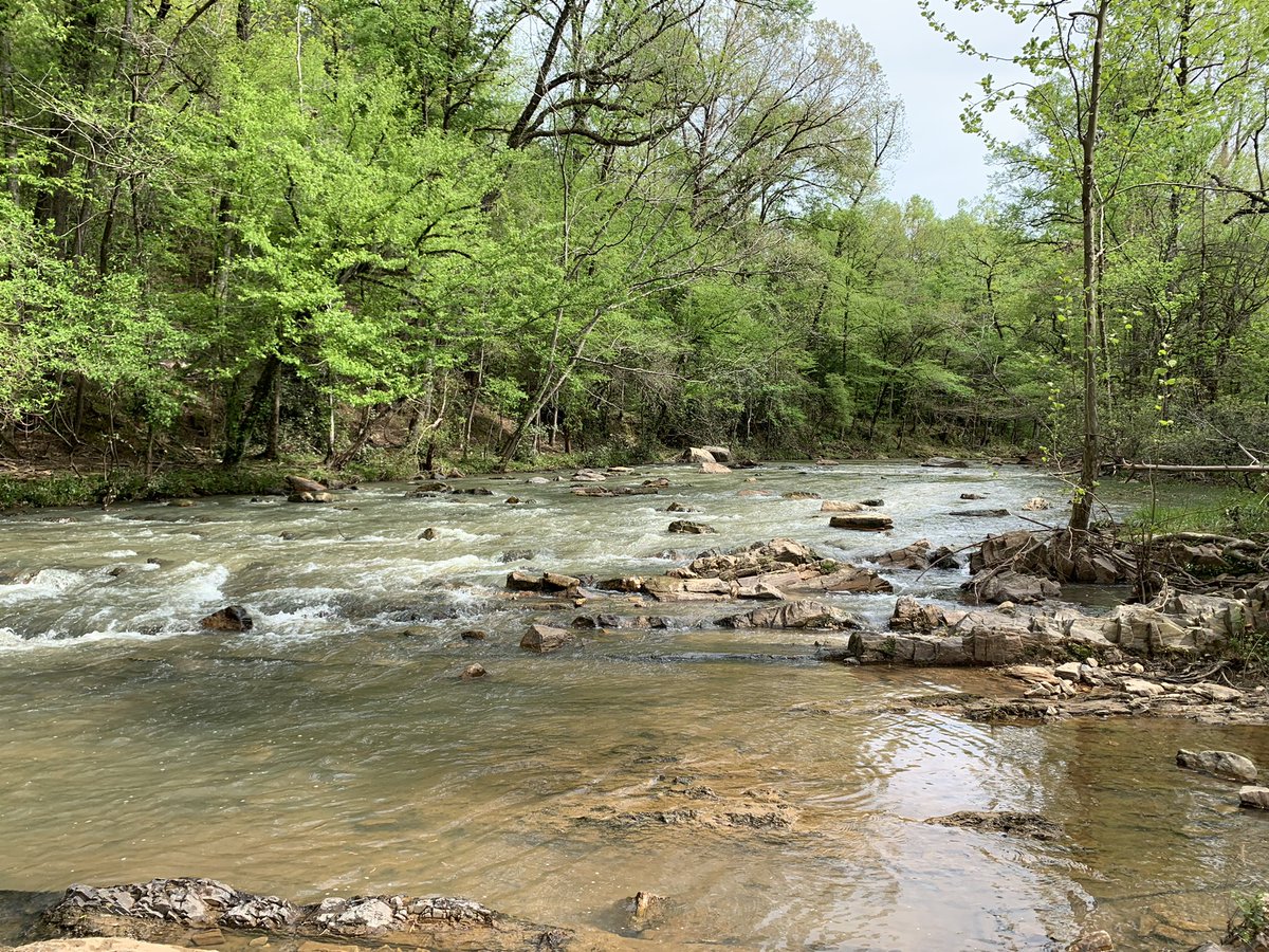 Eve Brantley (@brantef) on Twitter photo This was a fun afternoon - thx to the grad students & <a href="/AuburnWater/">Auburn University Water Resources Center</a> for coming out to make sure the GatorByte sensor didn’t make it to the Tallapoosa River #water #science #SECTravelFellow This was a fun afternoon - thx to the grad students & <a href="/AuburnWater/">Auburn University Water Resources Center</a> for coming out to make sure the GatorByte sensor didn’t make it to the Tallapoosa River #water #science #SECTravelFellow