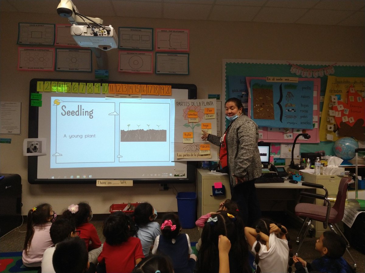 Mrs. Estrada tweet media