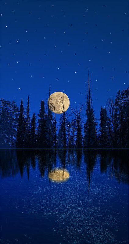 12tmimi's tweet photo. Star moon. https://t.co/BX91t2HN2d