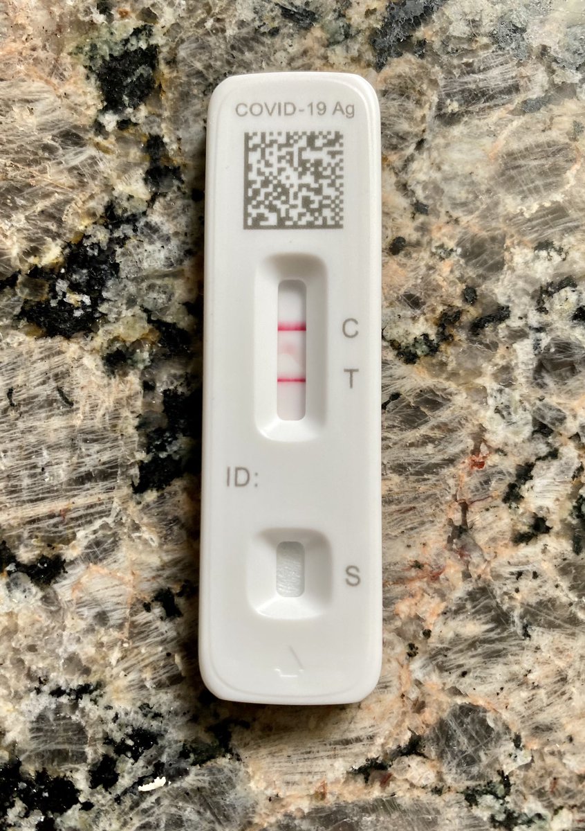 Morgan Till tweet media