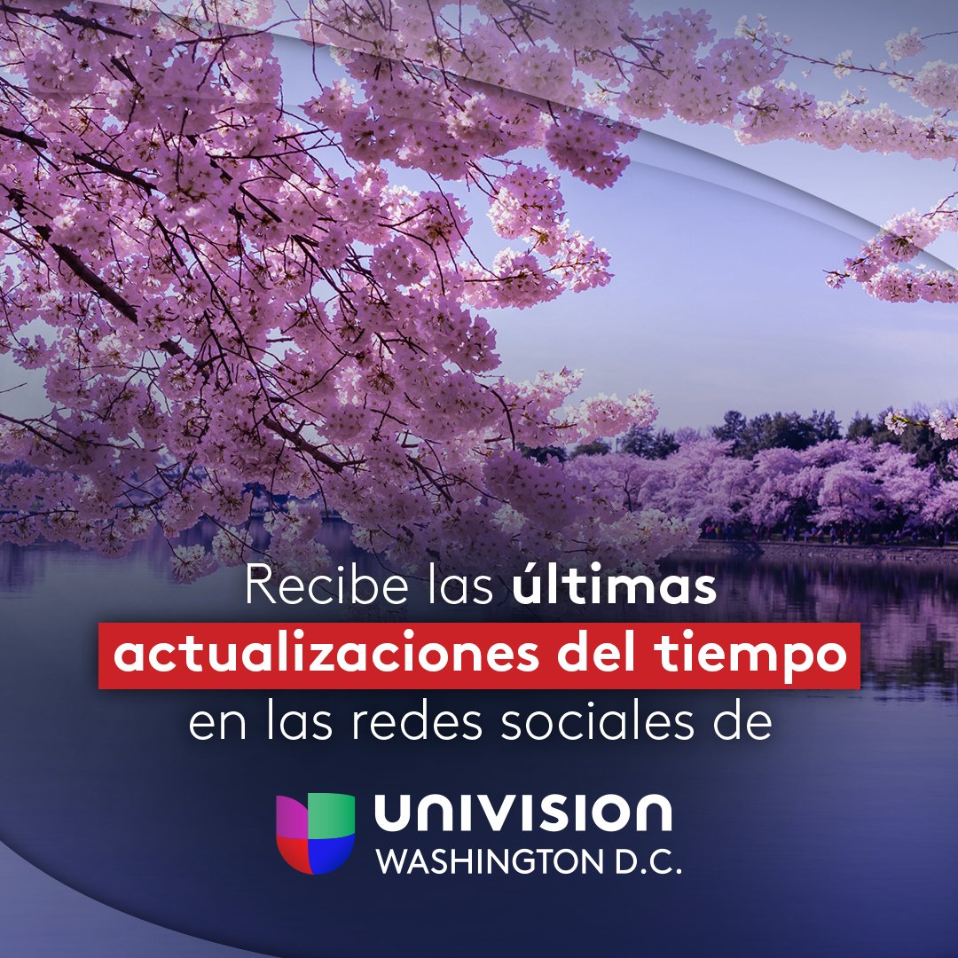 nmasunivDC's tweet photo. Síguenos en redes sociales y recibe noticias de última hora sobre la actualidad en tu ciudad: clima, política, economía, deportes, tecnología y mucho más. #SomosUnivisionDC https://t.co/vMOxvorQhR