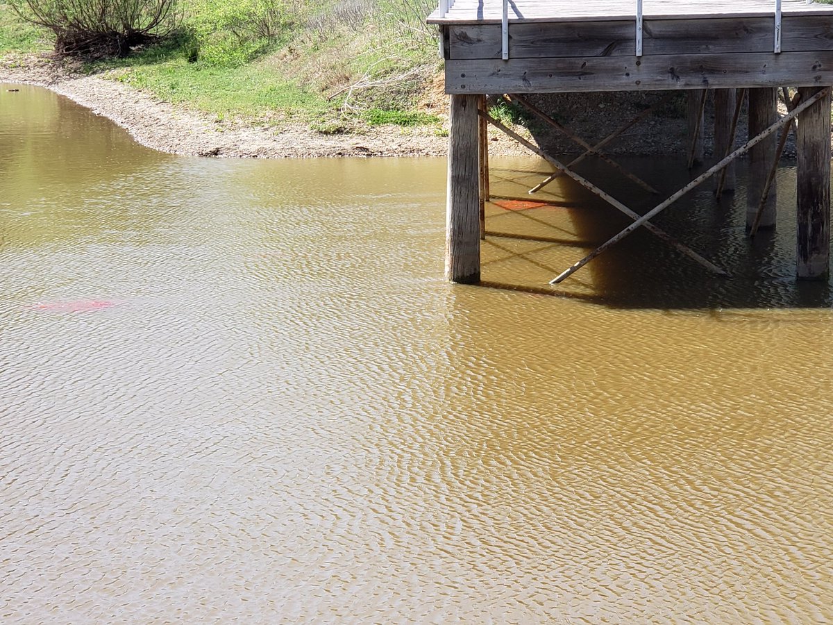 Northwest ISD OLC tweet media