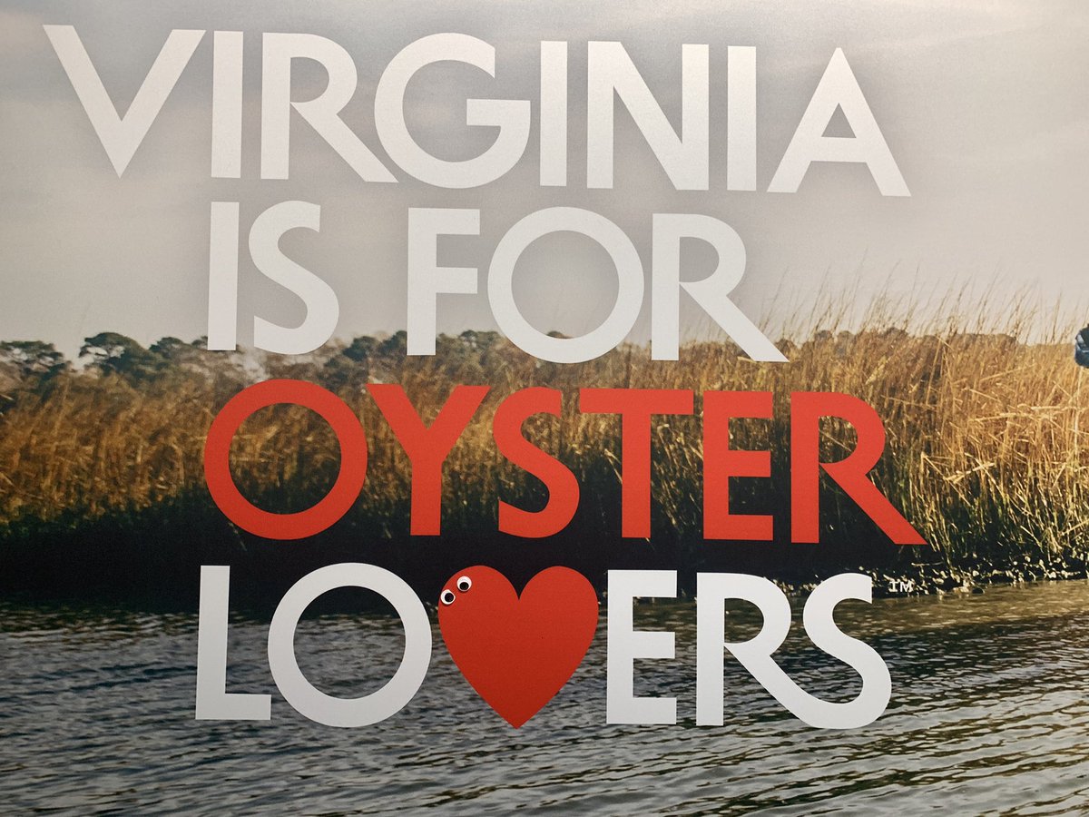 googlyeyesworld's tweet image. #googlyeyes on the #halfshell. Lovin’ @VisitVirginia #loveva @Dulles_Airport