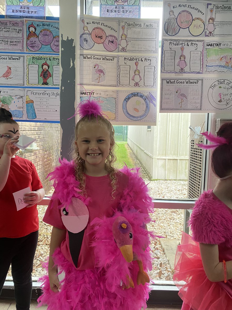 MrsElamPNG's tweet photo. My class worked very hard to present our Animal Wax Museum today! Their costumes were so creative & their knowledge on their animal: top notch! Proud is an understatement!! #PNGproud #RWlearns https://t.co/rvC262ZfNy