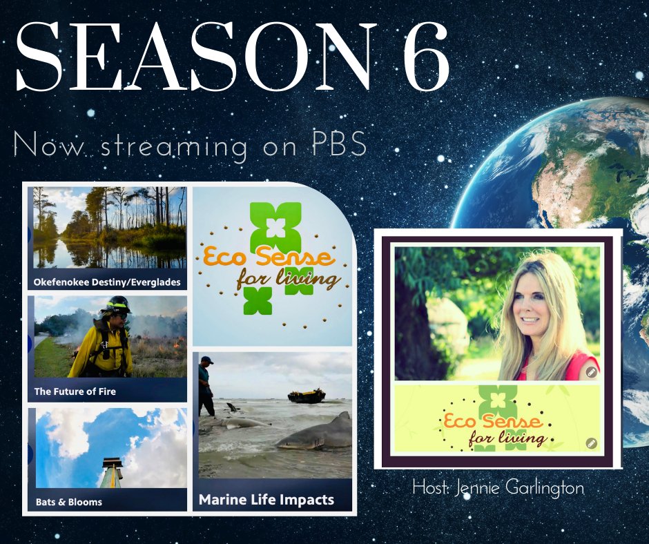 Ted Turner tweet media