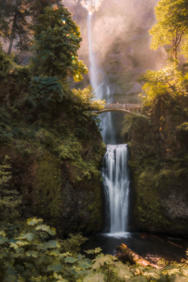 morgfromoregon's tweet photo. New post on Instagram tomorrow. Figured I’d show twitter first. Enjoy! #Oregon #PhotoOfTheDay https://t.co/rr0jT7u5n8