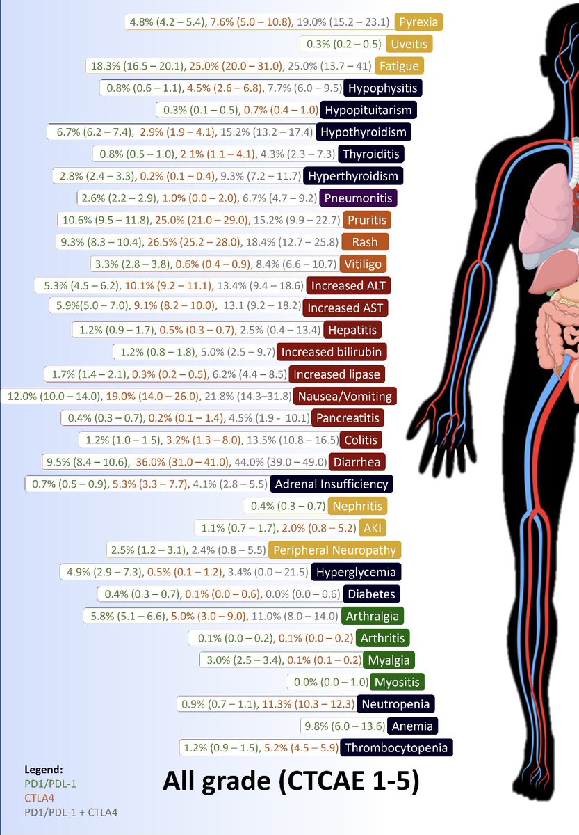 DebanjaliP's tweet photo. ‼️ Our findings show that, among all of the AEs reported, the most common all-grade AEs are fatigue (18.3%), diarrhea (15.3%), and rash (14.4%). https://t.co/rCxf39pC4s