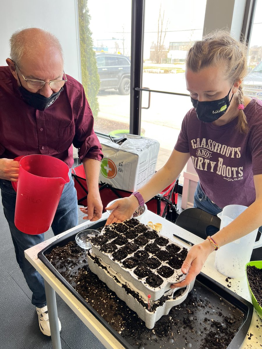 Peppers and egg plant and tomatoes oh my with the <a href="/EnablingGarden/">Guelph Enabling Garden</a> 
Our Pea Shoot snacks tasted amazing 🌶 🍆 🍅 😊