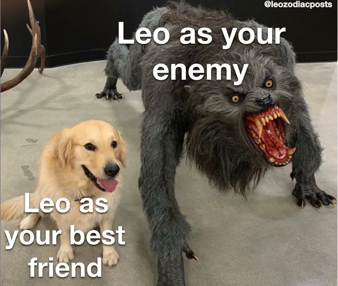 Leo_Tweets's tweet photo. #Leo facts 👏🏼 https://t.co/BiSD9sagjg