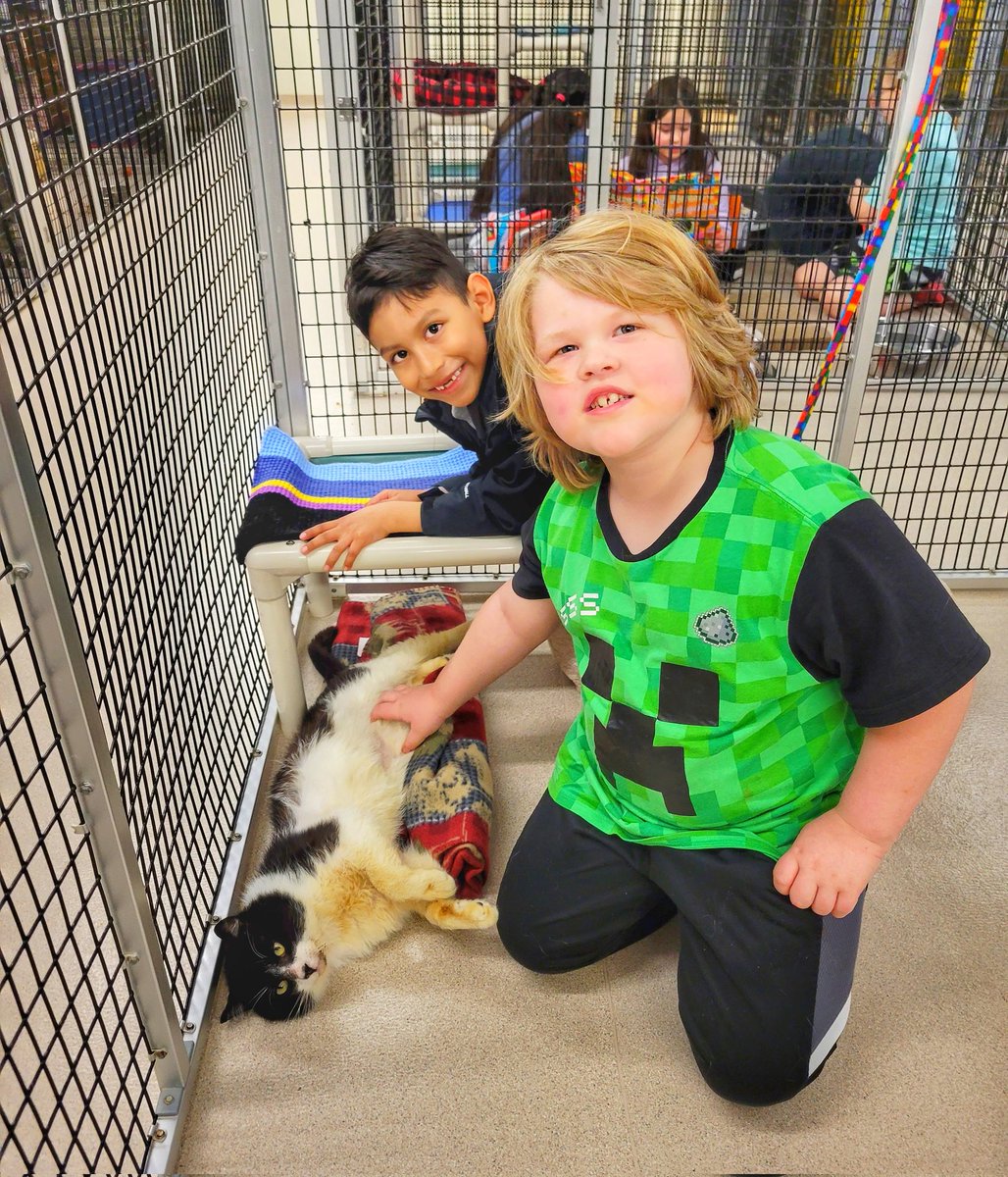 MissGoodwin2G's tweet photo. Paws and More today with these cuddly creatures.  We love reading to the cats and dogs!!  #washpride https://t.co/25OMofyavp