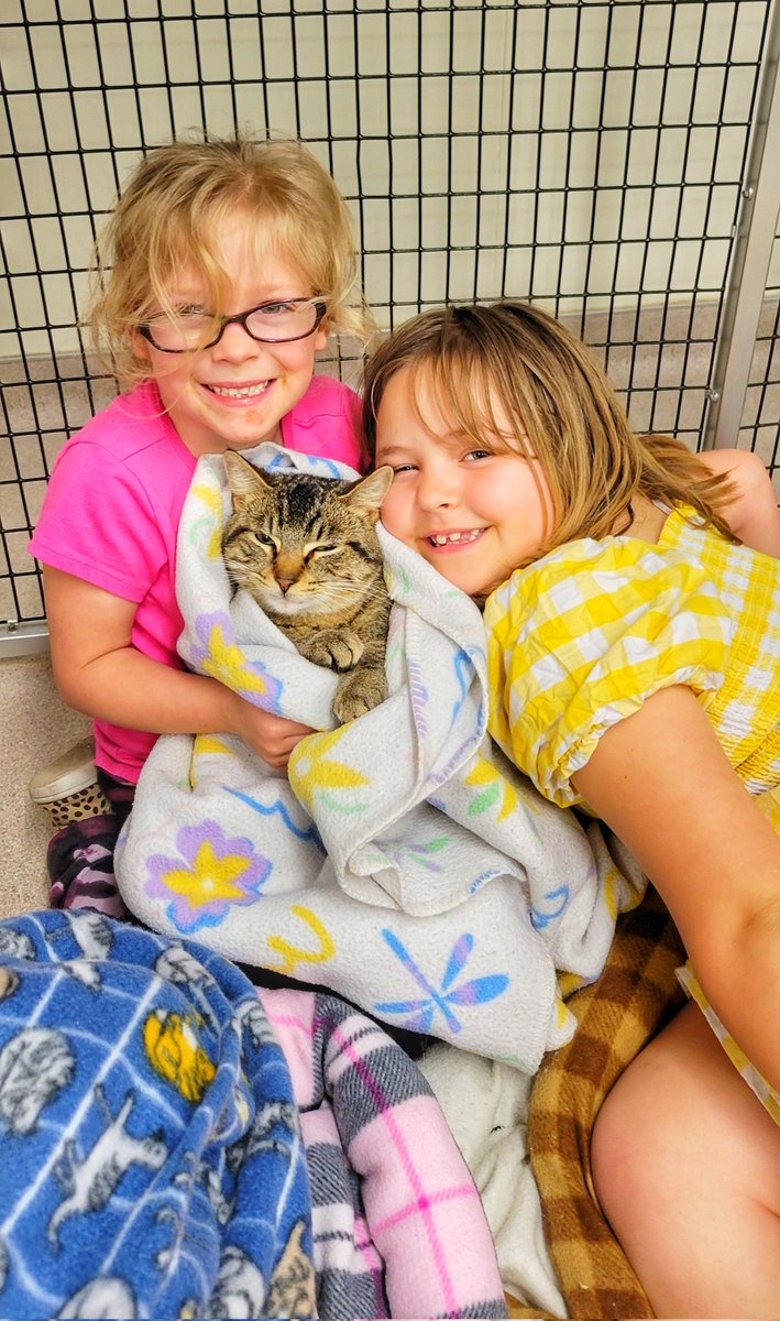 MissGoodwin2G's tweet photo. Paws and More today with these cuddly creatures.  We love reading to the cats and dogs!!  #washpride https://t.co/25OMofyavp