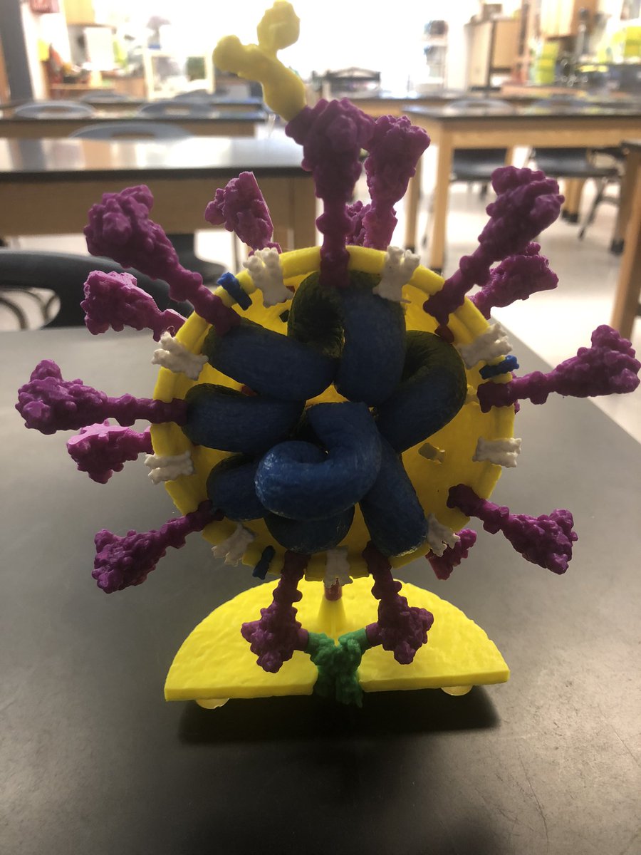 biofarouq's tweet photo. Excited to do PCR with AP BIO . Thank you #lbssptsa and #EDFund @FCPSFoundation https://t.co/1iK7z1y0rZ