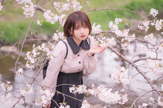 コスプレイヤーひまわりありすのTwitter画像11